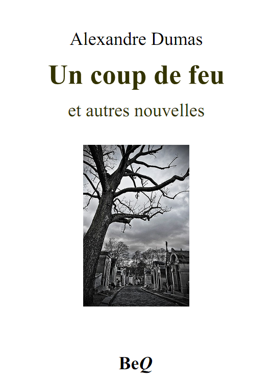Couverture actuelle de Un coup de feu et autres nouvelles